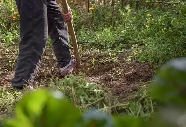 Retourner la terre de son jardin