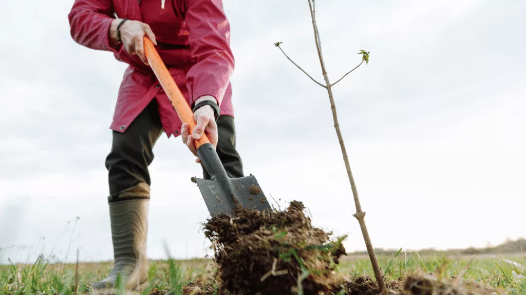 Quand labourer la terre ?