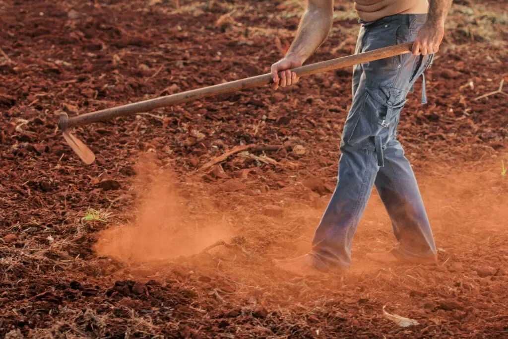 Labourer la terre