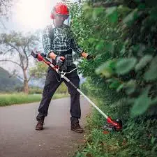 Einhell Agillo 36-255